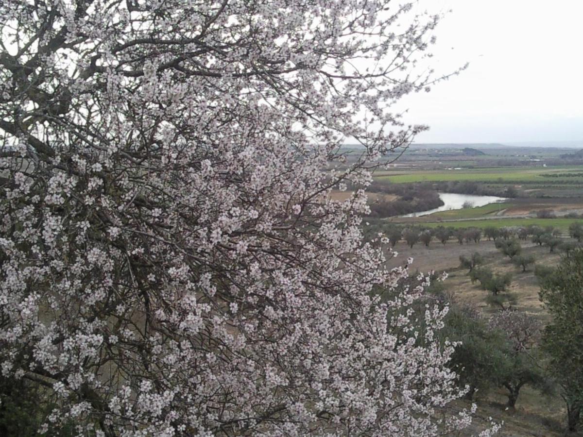 Malpica de Tajo Posada La Reja מראה חיצוני תמונה