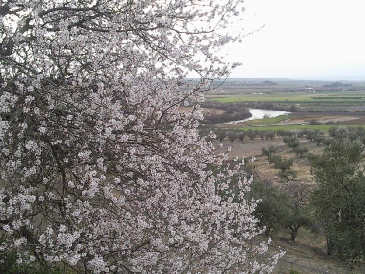 Malpica de Tajo Posada La Reja מראה חיצוני תמונה