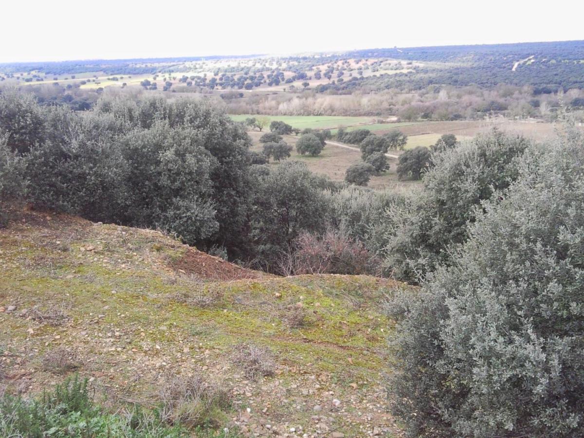 Malpica de Tajo Posada La Reja מראה חיצוני תמונה