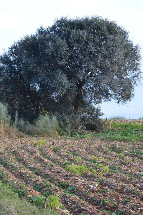 Malpica de Tajo Posada La Reja מראה חיצוני תמונה